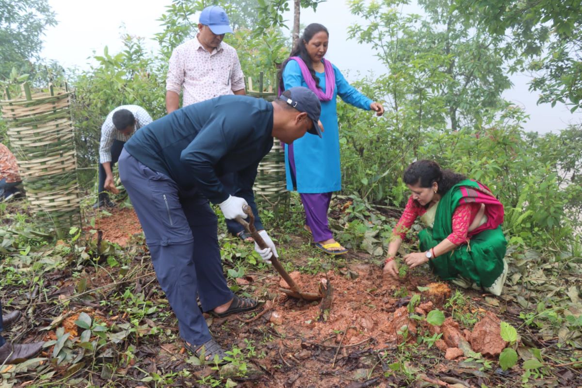 राष्ट्रिय वृक्षरोपण दिवसमा संखुवासभामा वृक्षरोपण